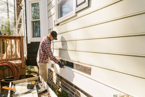 Top rated local Siding Repair specialists in Mascot, TN